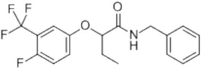 Weeding composition containing metazosulfuron and beflubutamid and application of weeding composition