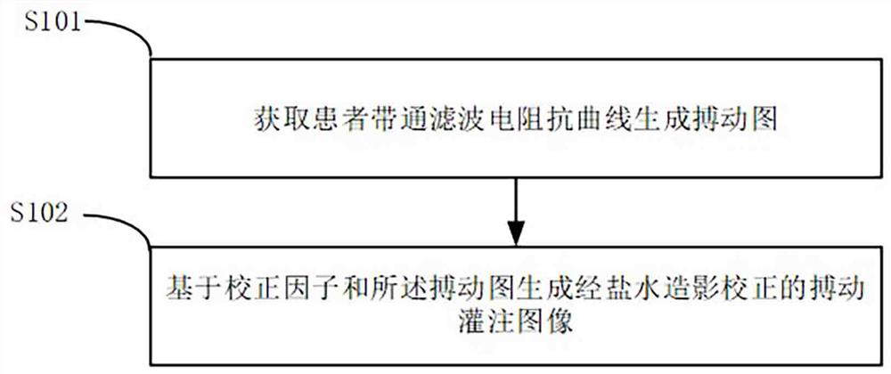 Pulsatile perfusion image reconstruction method, system and equipment corrected by brine radiography