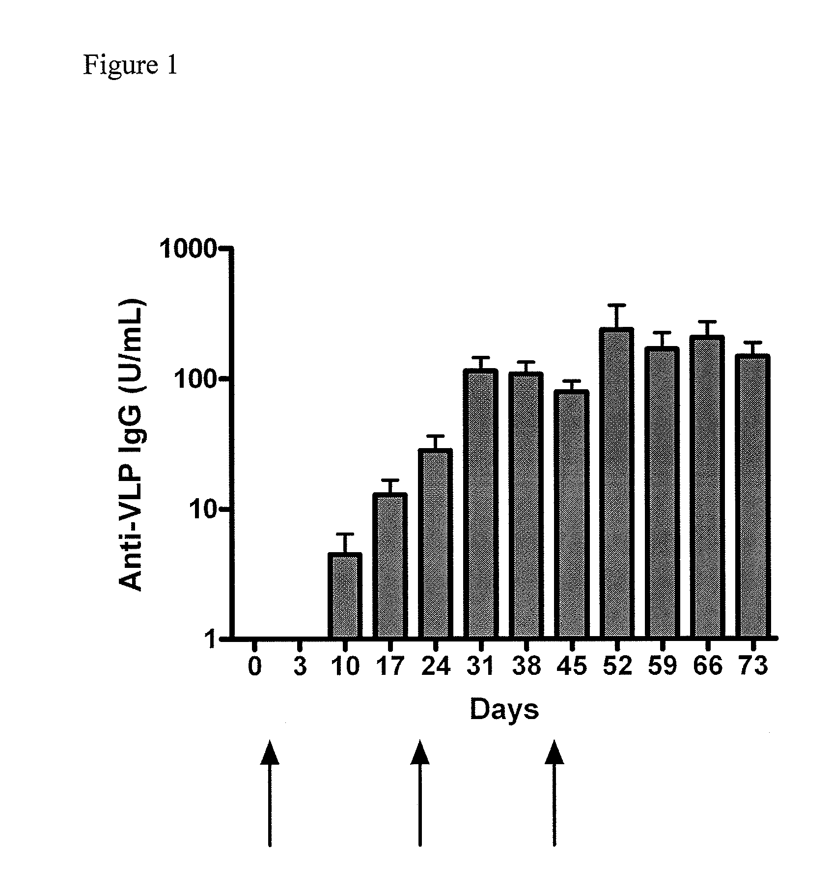 Method of conferring a protective immune response to norovirus