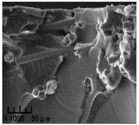 Glass fiber/carbon nanotube co-modified epoxy composite and preparation method thereof