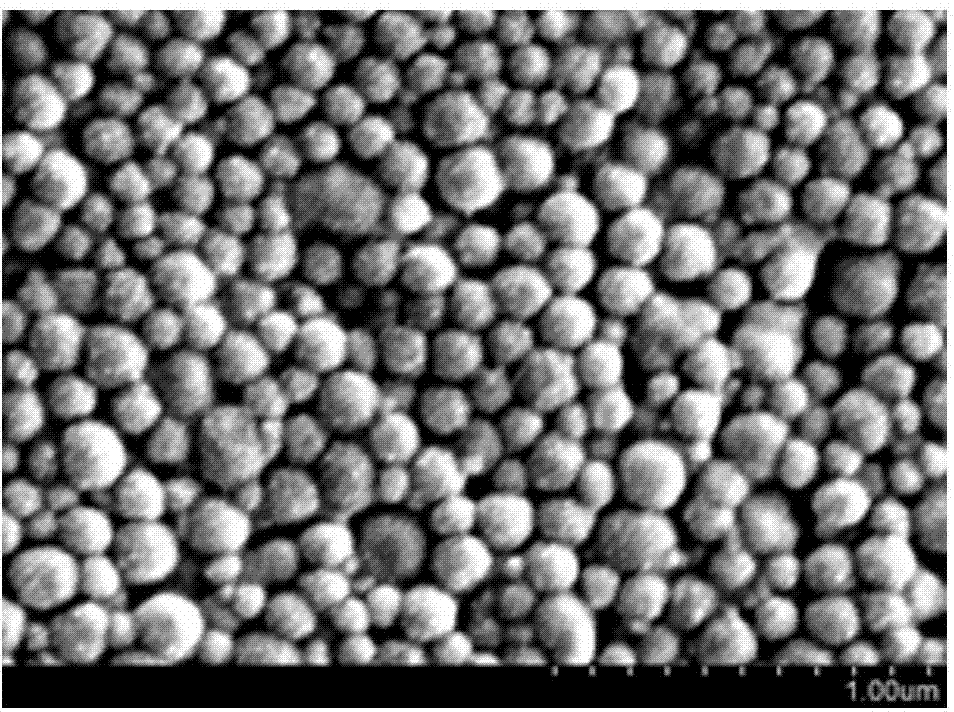Fluorescent oxygen nano sensor with cellular mitochondrion targeting, and preparation method of nano sensor