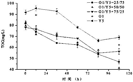 Preparation method of salt-tolerant biological agent and adding method thereof