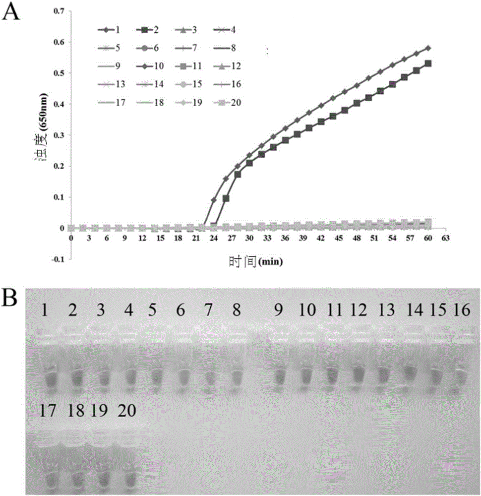 PSR detecting method for pseudomonas aeruginosa, special primers and kit