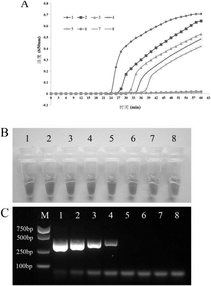 PSR detecting method for pseudomonas aeruginosa, special primers and kit