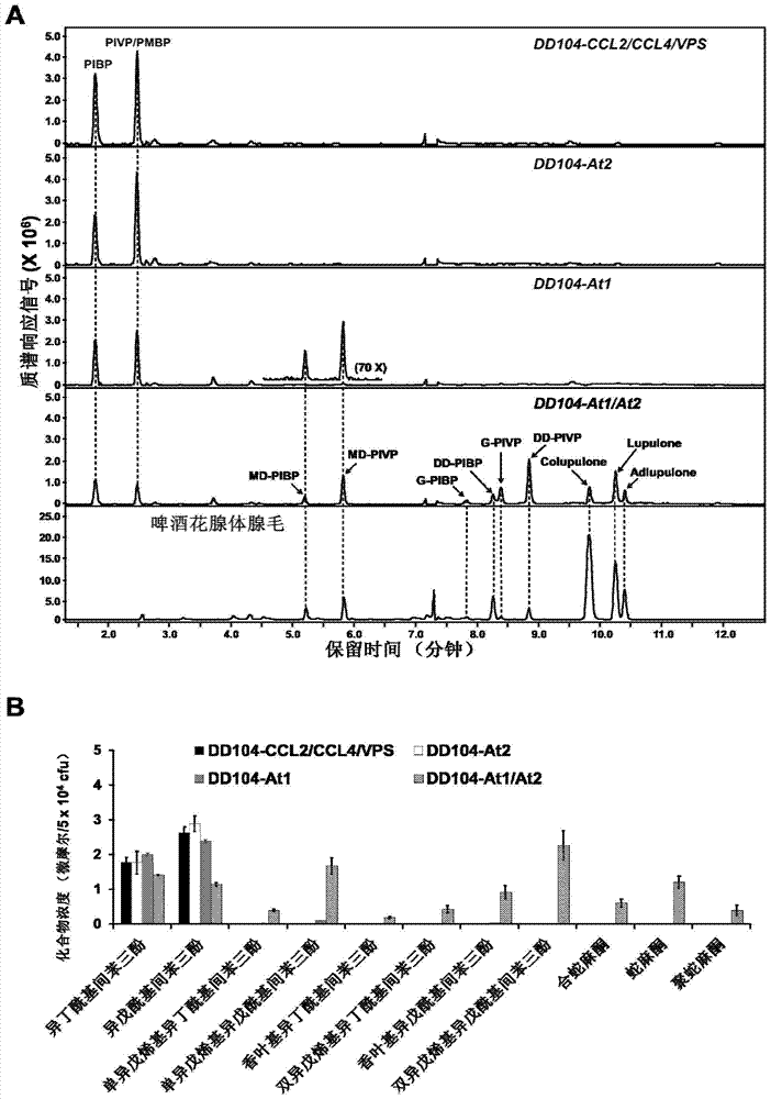 Preparation method and application of β-picric acid