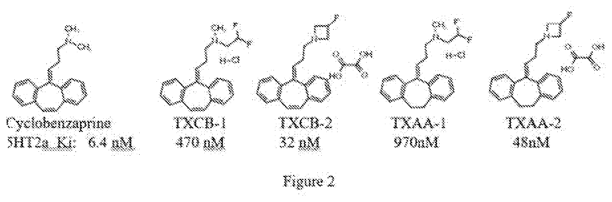 Analogs of cyclobenzaprine and amitryptilene