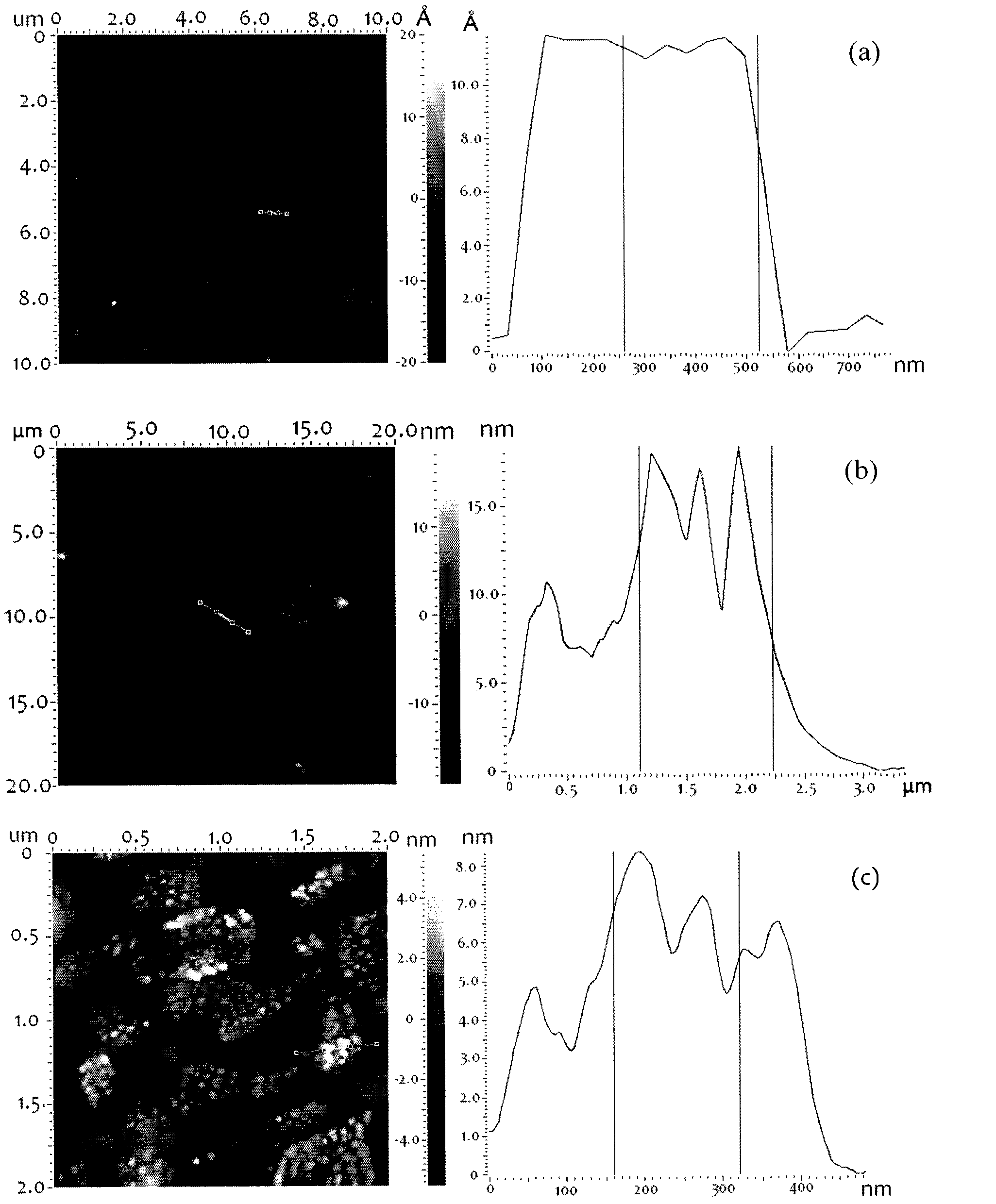 Polymer grafted graphene oxide and preparation method thereof