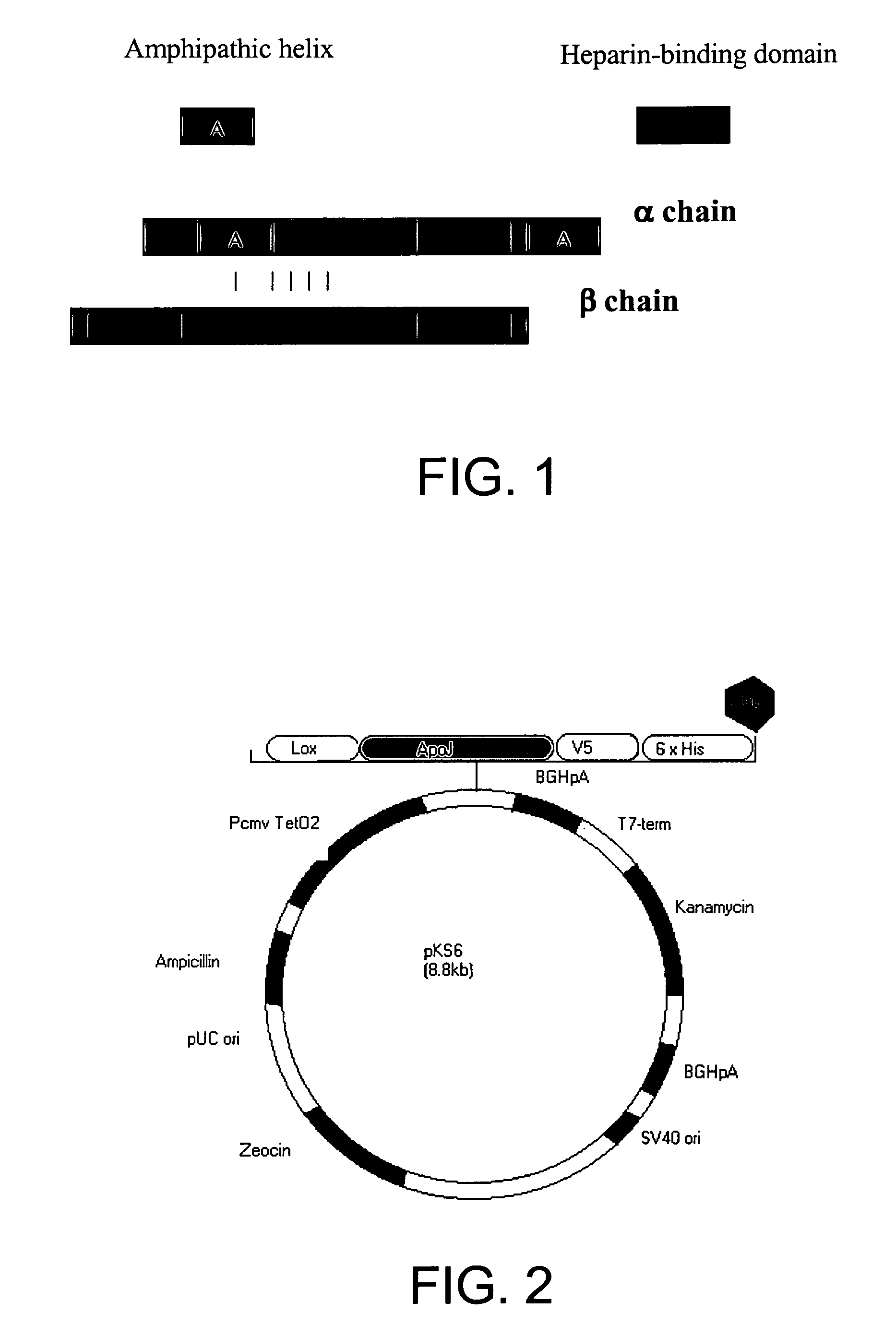Composition and method for clusterin-mediated stem cell therapy for treatment of atherosclerosis and heart failure