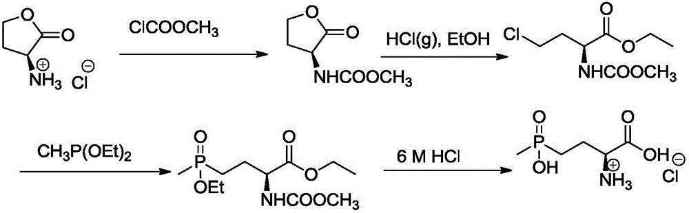 Method for synthesizing L-glufosinate-ammonium intermediate (S)-3-amino-gamma-butyrolactone hydrochloride, and application of method