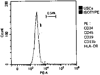 Extracting and multiplication culture method of urine-derived mesenchymal stem cells (USCs)