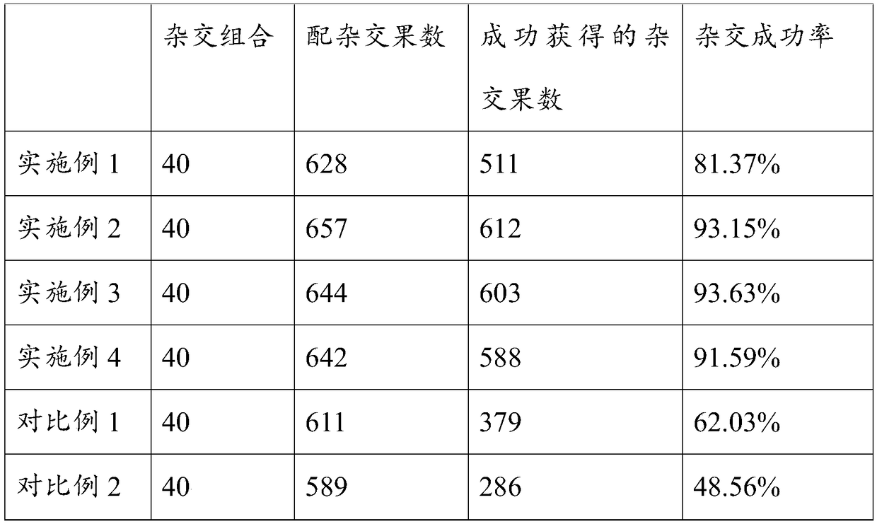 Method of improving success rate of flax hybridization in arid areas