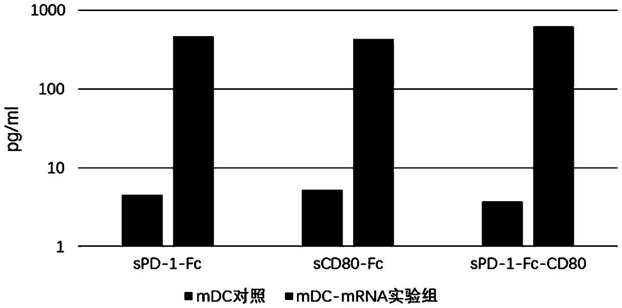 Fusion protein with immune regulation function, pharmaceutical composition, cell and application