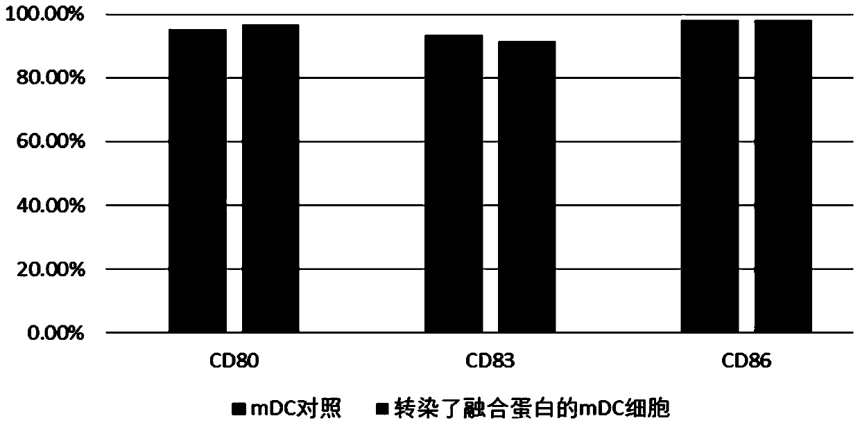 Fusion protein with immune regulation function, pharmaceutical composition, cell and application