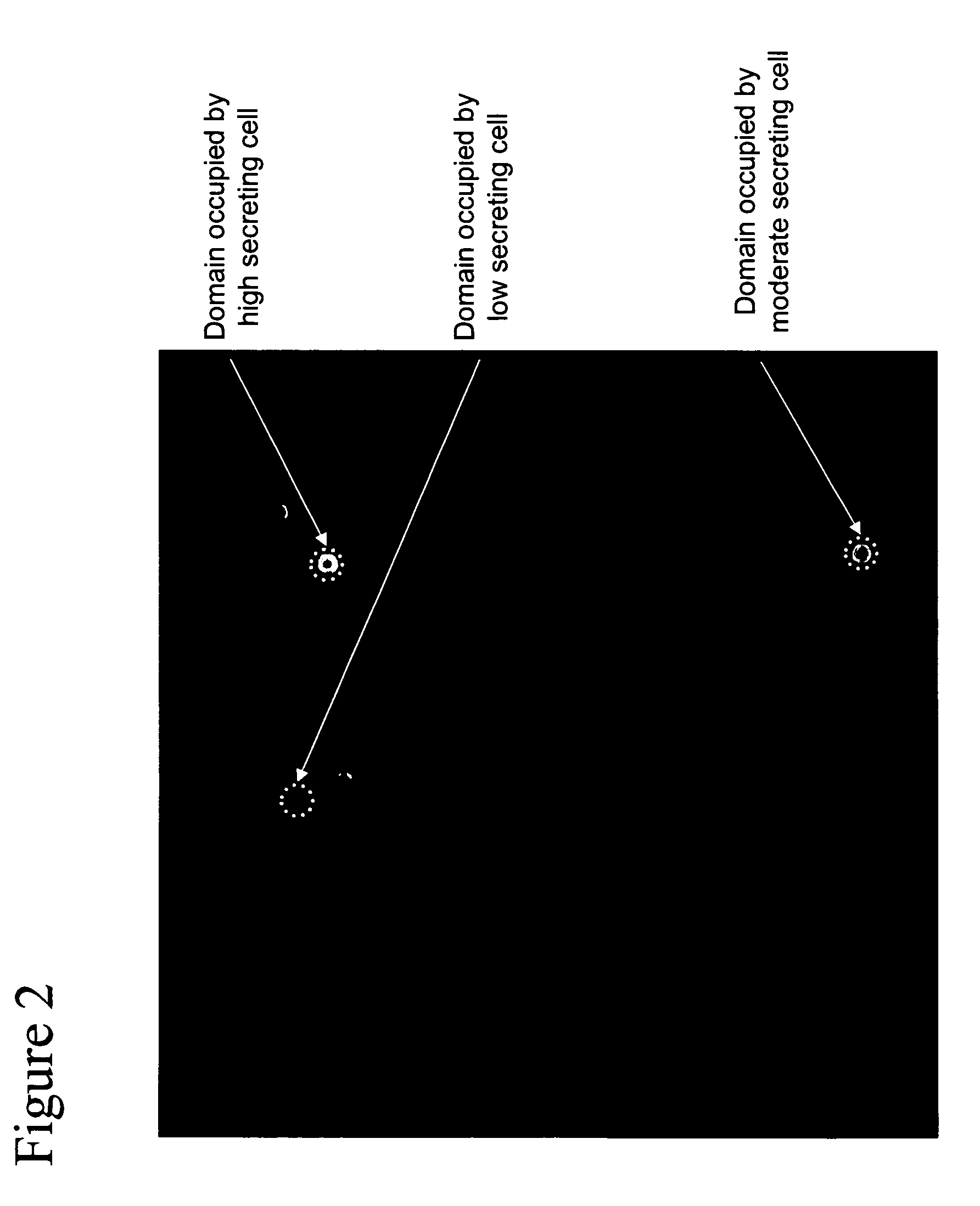 Methods for purification of cells based on product secretion