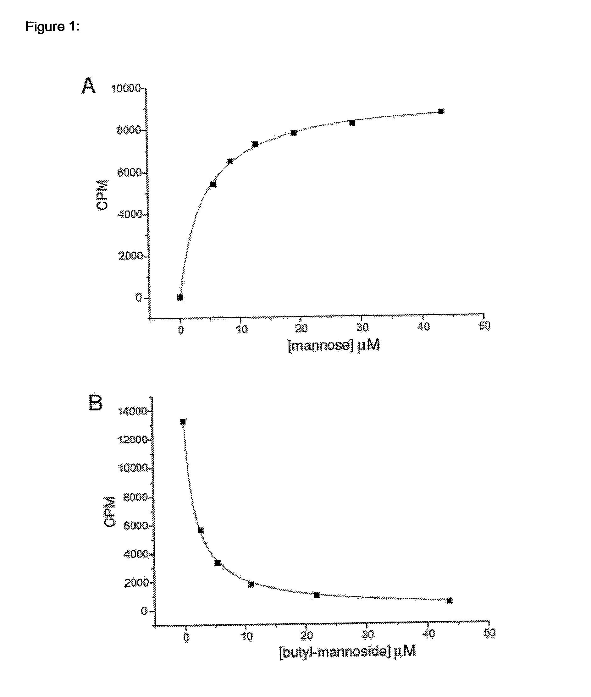 Anti-Adhesive Compounds to Prevent and Treat Bacterial Infections