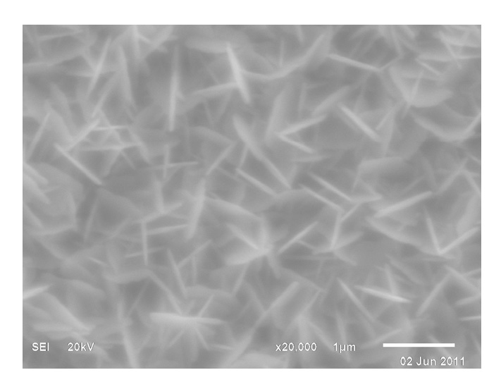 Vanadium dioxide thin film and preparation method thereof