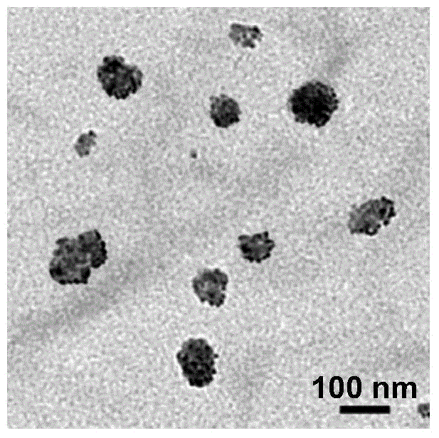 Nanocrystalline of hydrophobic drug, as well as preparation and application methods of nanocrystalline