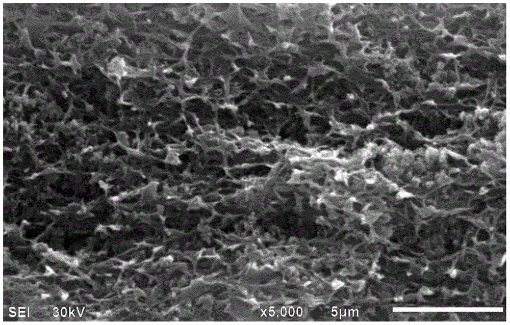 A PVDF-HFP-based composite porous polymer diaphragm and preparation method thereof