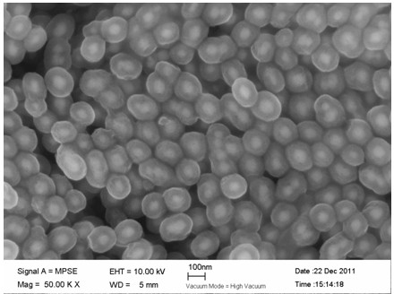 Preparation method of silica-coated iron oxide nano-core-shell structural material