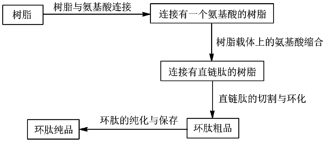 Preparation method of cyclopeptide cyclo-[(asp)5-gly]