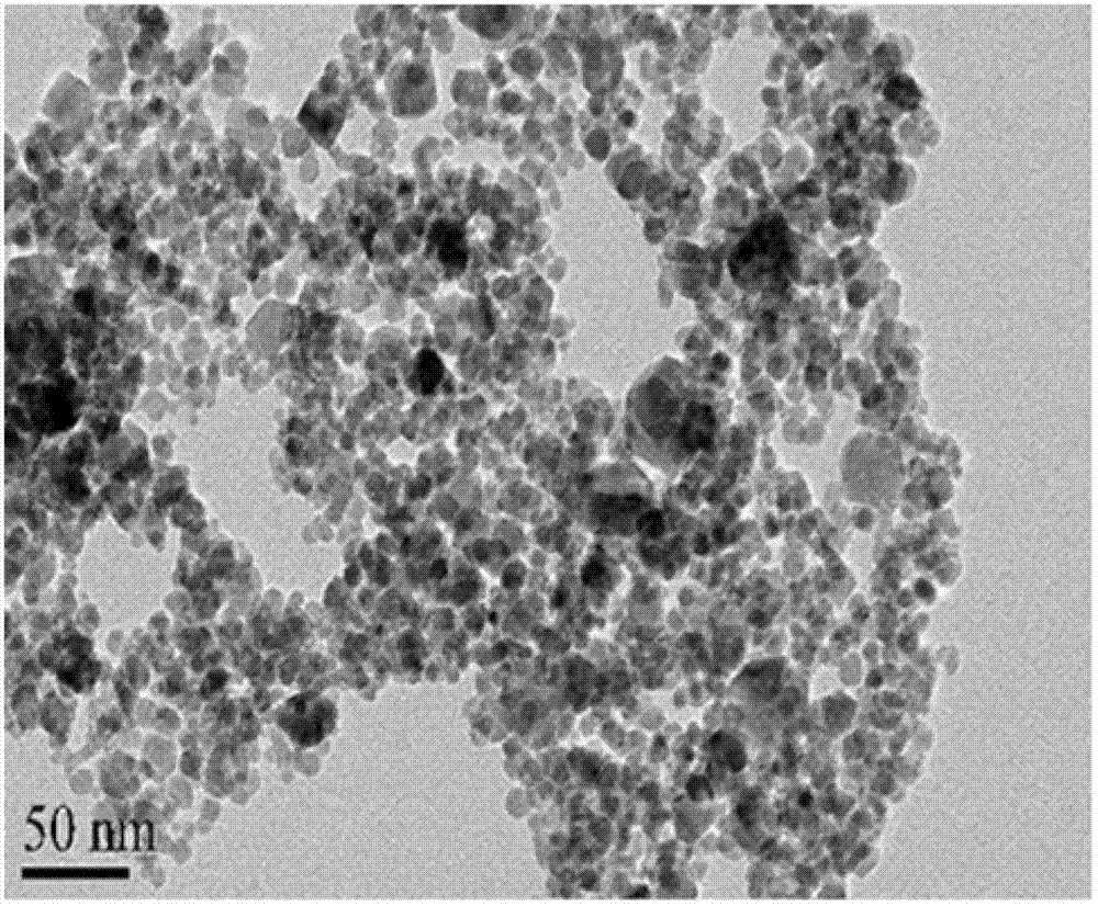 Preparation method of nano Fe3O4 powder for preparation of nano dielectric medium through compounding with polyethylene