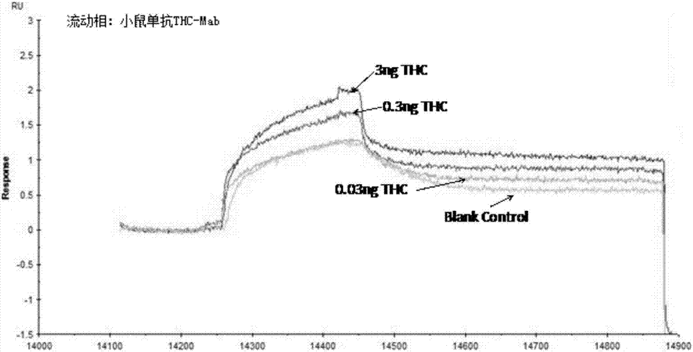 Detection method of trace hemp in saliva sample and used SPR (surface plasmon resonance)chip