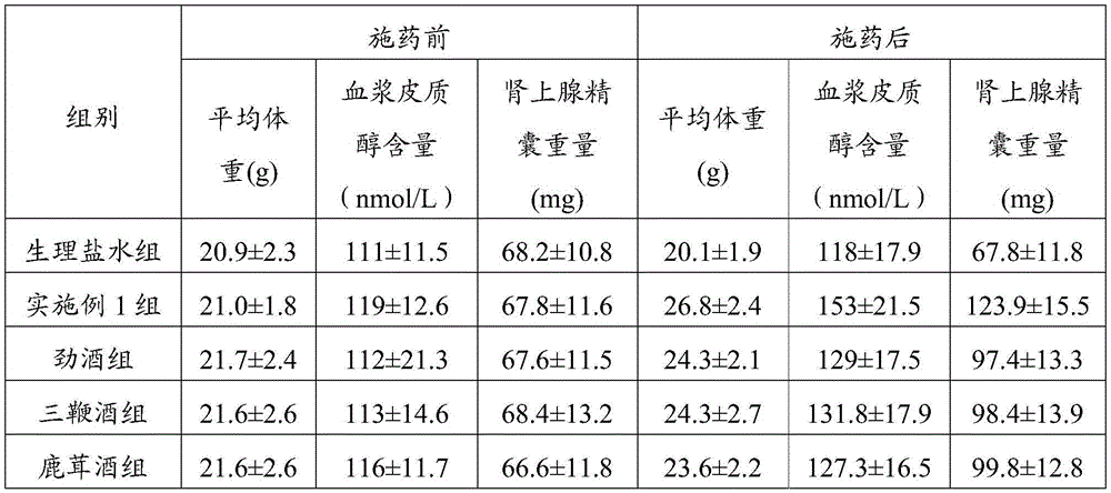 Kidney-nourishing and kidney-reinforcing health-care medicinal wine and preparation method thereof