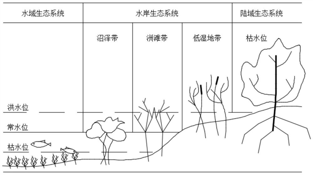 A continuous purification and utilization system for the receding water ecological zone of the trench into the river slope