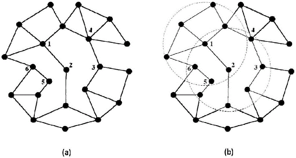 Multi-population coevolution method for optimizing wireless sensor network topology
