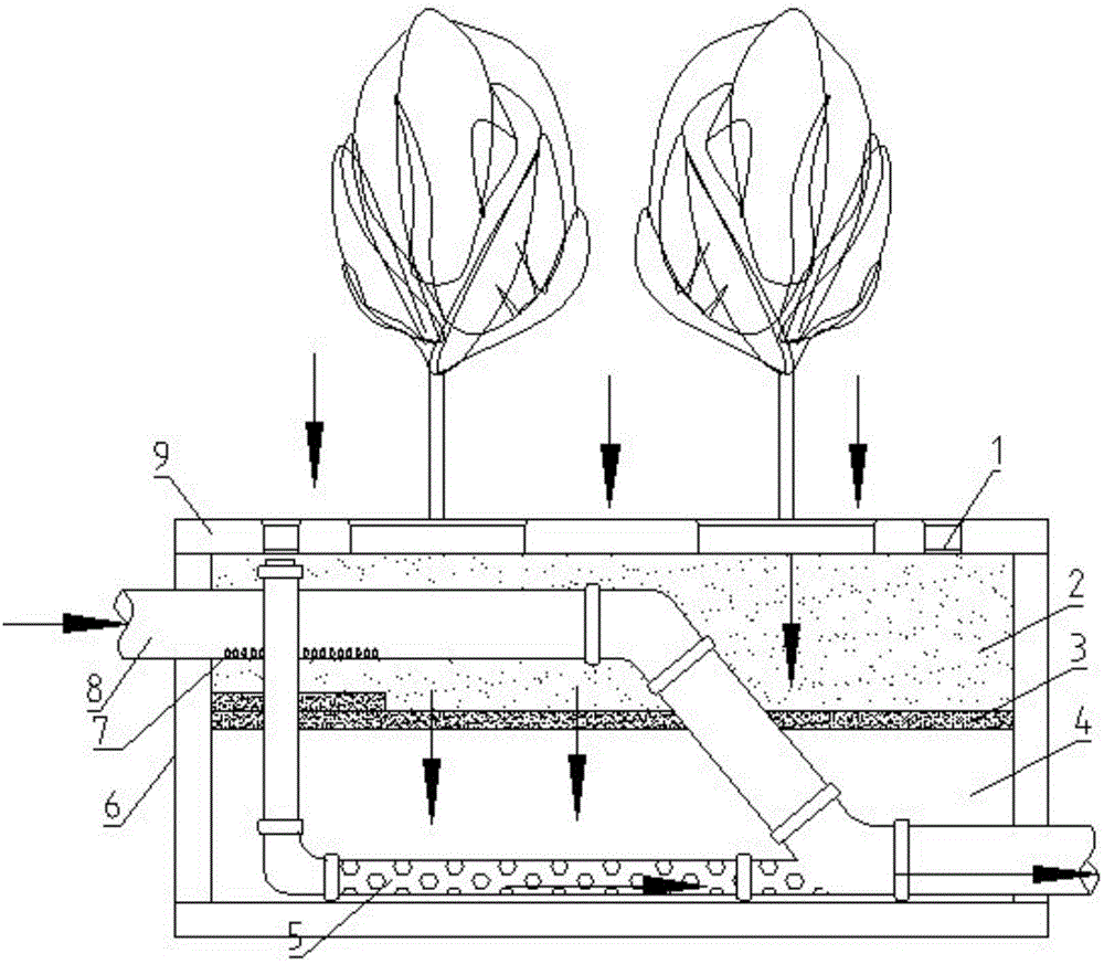 Rainwater purification tree box and system with rainwater purification tree box