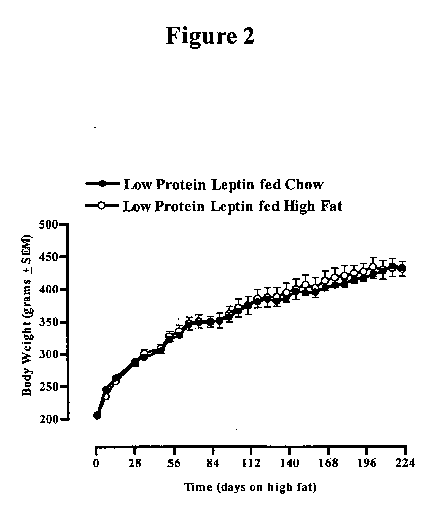 Use of leptin for infant with low birth weight for prevention of obesity