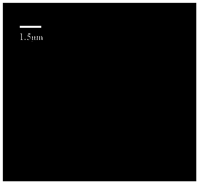 Method for catalytically synthesizing laminine by using solid and liquid phases