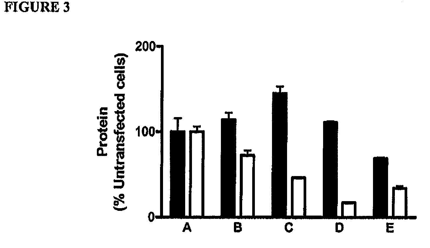 Multitargeting Interfering RNAs Having Two Active Strands And Methods For Their Design And Use