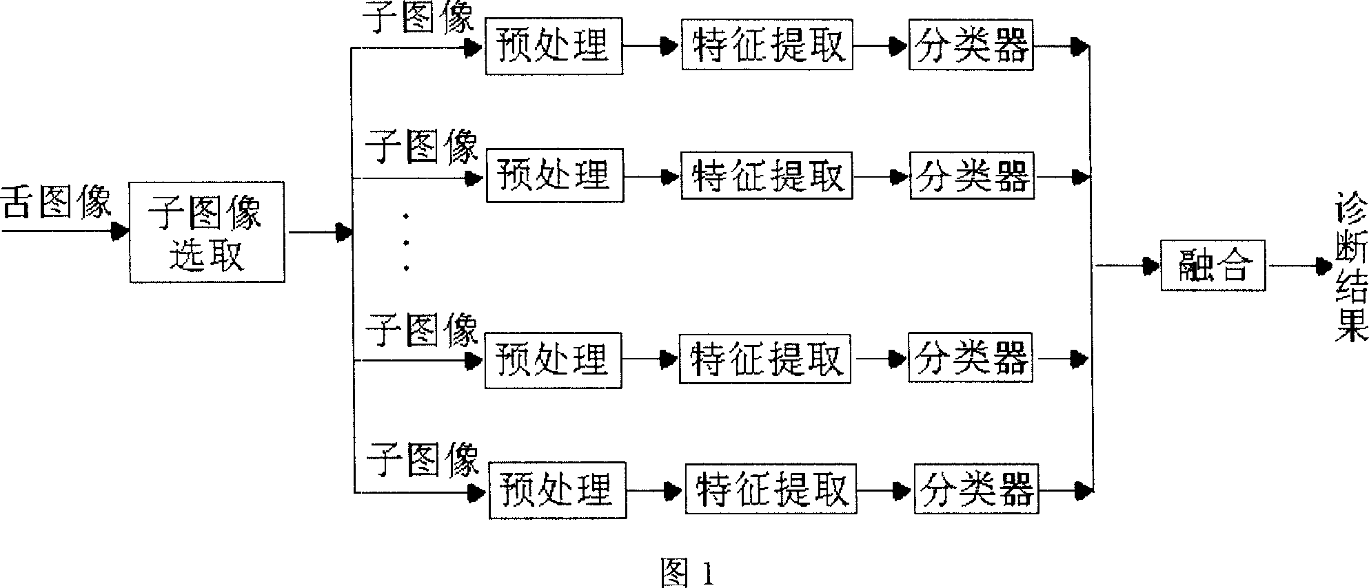 Computerized Chinese medicine Wei-Qi-Ying-Xue syndrome classification method based on tongue picture