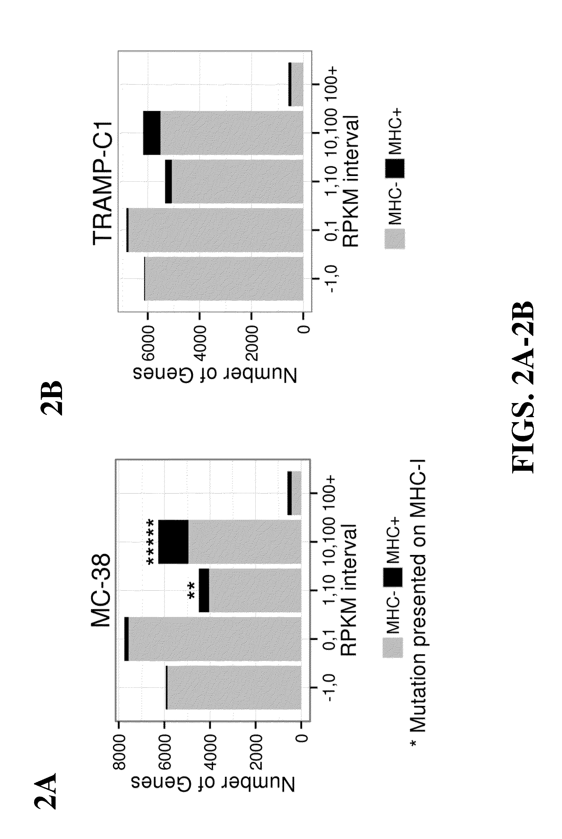 Immunogenic mutant peptide screening platform