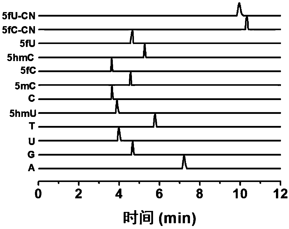 Method for deriving aldehyde pyrimidine, method for detecting 5-aldehyde cytosine as well as application of aldehyde pyrimidine derivative