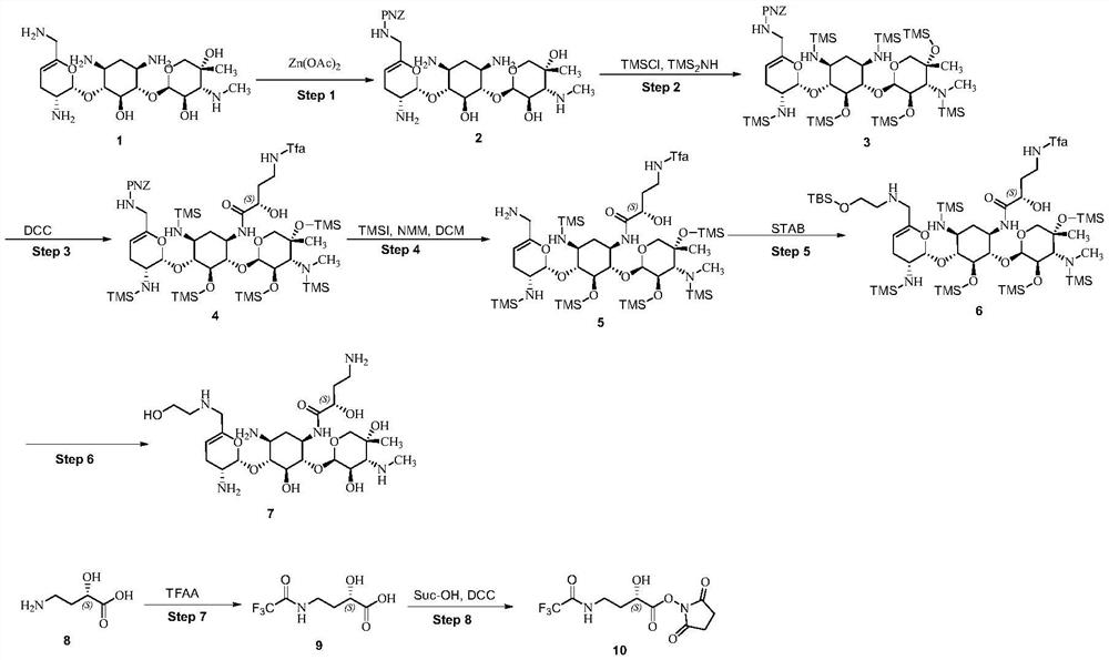 A kind of preparation method of plazomicin