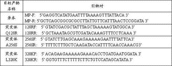 Glutathione synthetase mutant, encoding gene and application