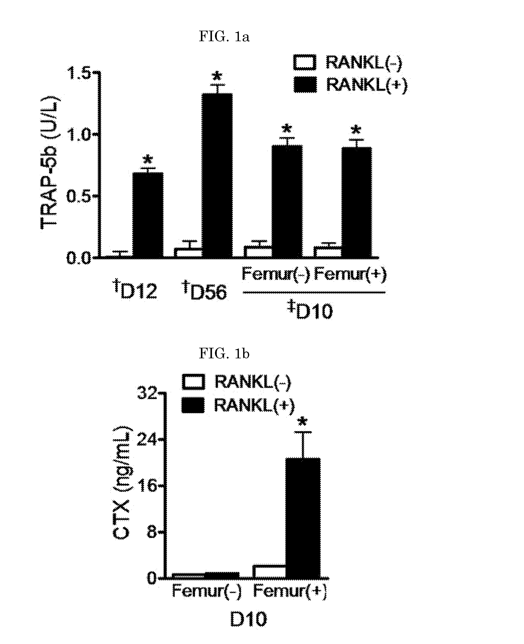 Composition for preventing or treating fracture or osteoporosis using slit-robo system