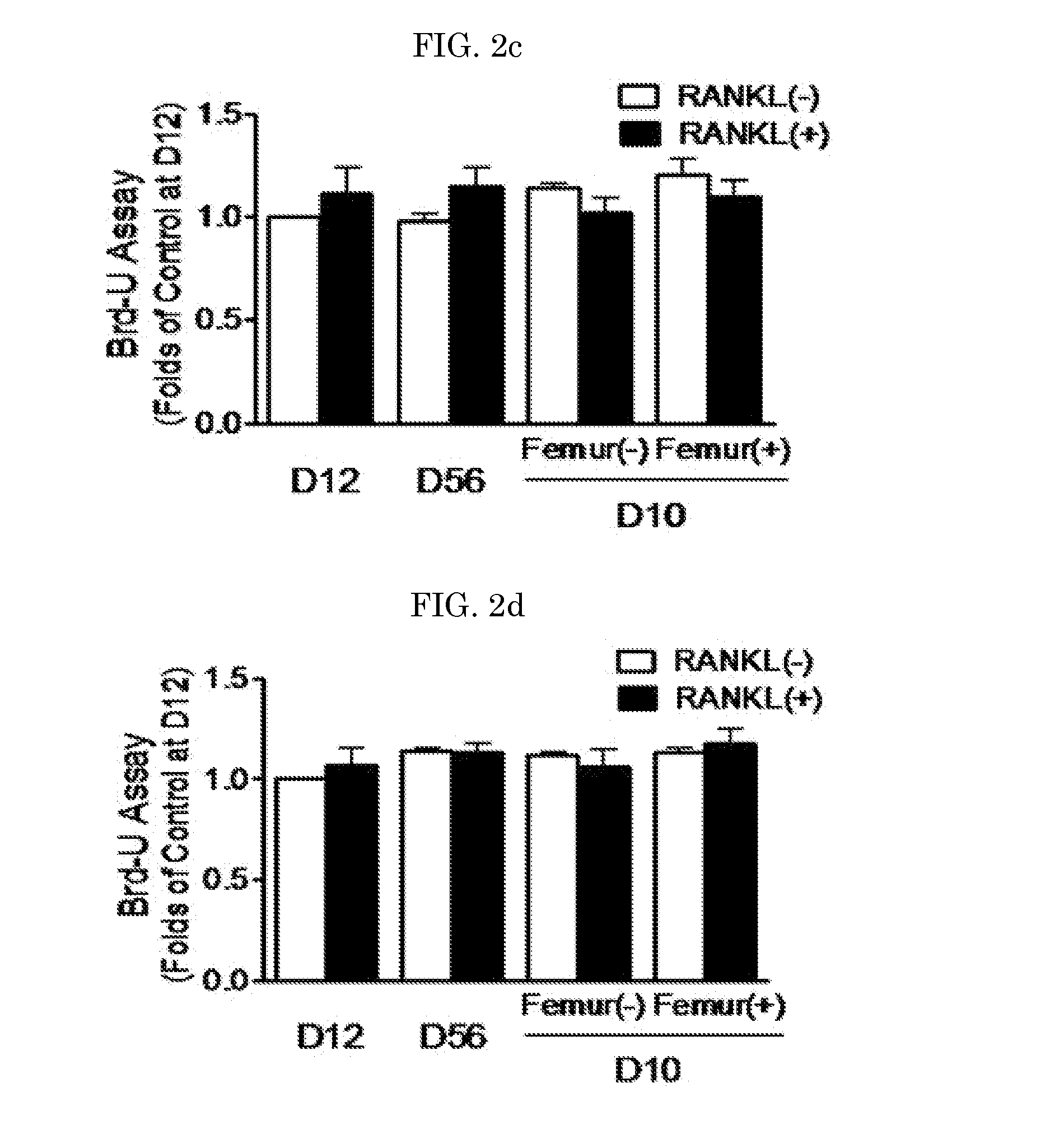 Composition for preventing or treating fracture or osteoporosis using slit-robo system