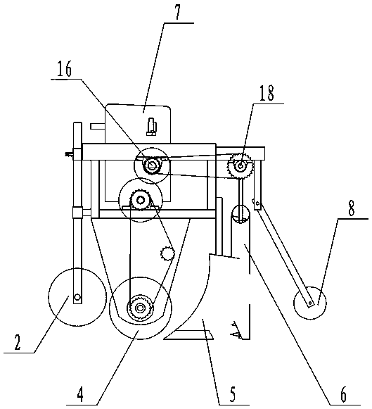 Wide and Narrow Row Sugarcane Cultivator