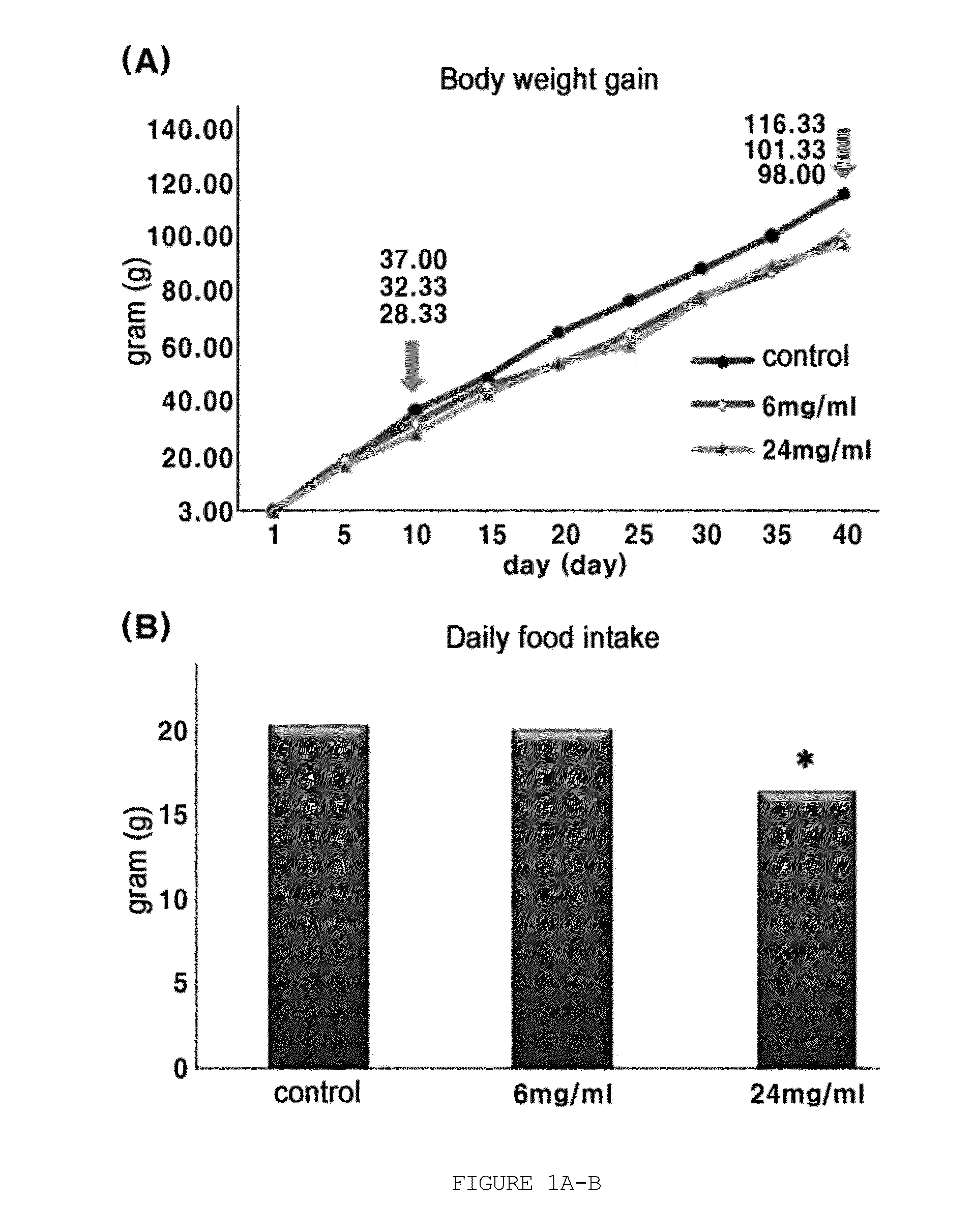 Method for screening of agent for treating or preventing obesity