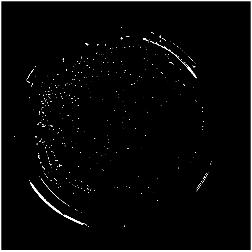 2,4-dinitrotoluene sulfonate efficient degradation strain Microbacterium sp.X3 and application thereof