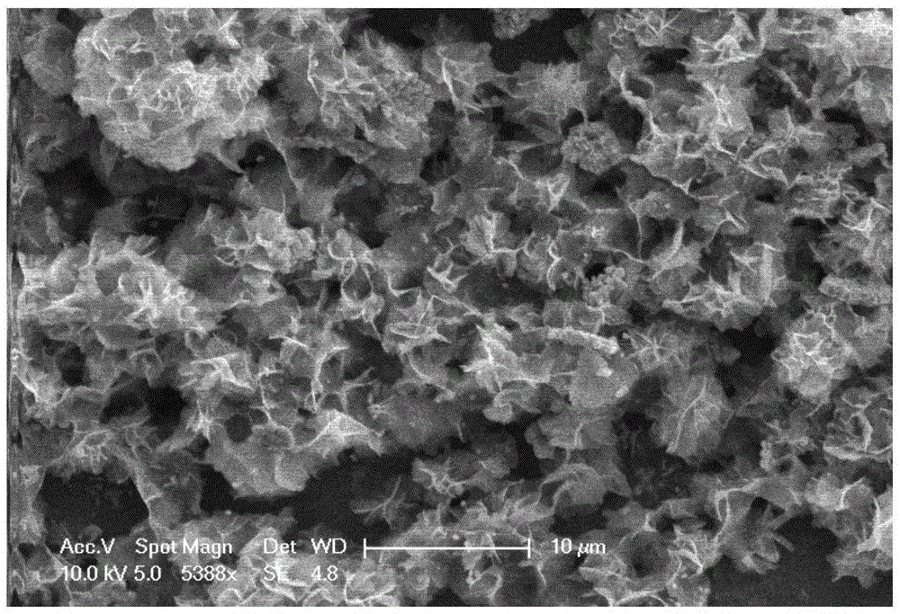 Preparation method of flower-like nickel sulfide material and application of flower-like nickel sulfide material in super capacitor