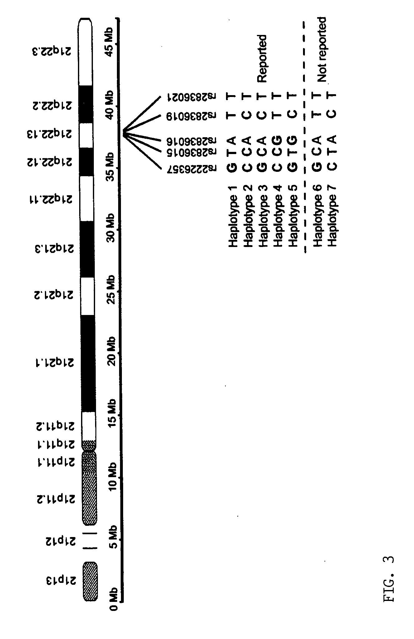 Microdissection-based methods for determining genomic features of single chromosomes