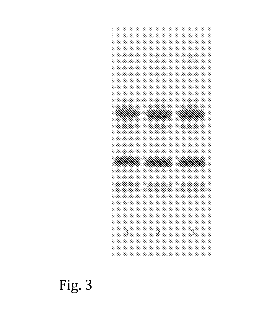 Method for producing a milk-based product