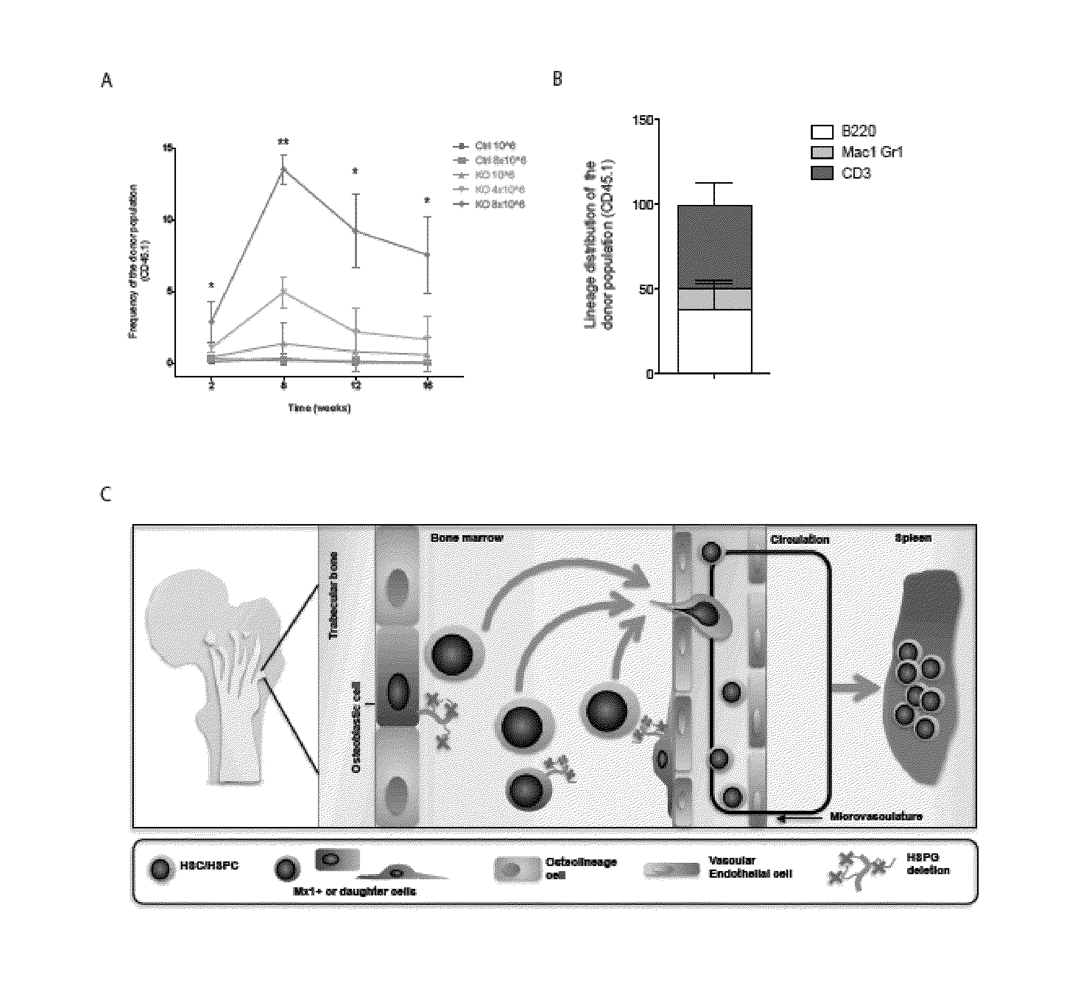 Methods and compositions for mobilizing stem cells