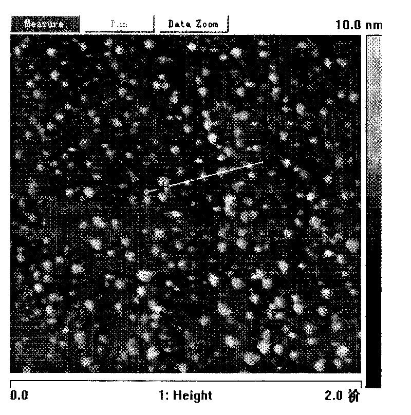 Stable nano graphene oxide under physiological condition and preparation method thereof