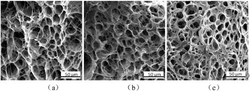 A kind of preparation method of nano silver-loaded polyvinyl alcohol hydrogel