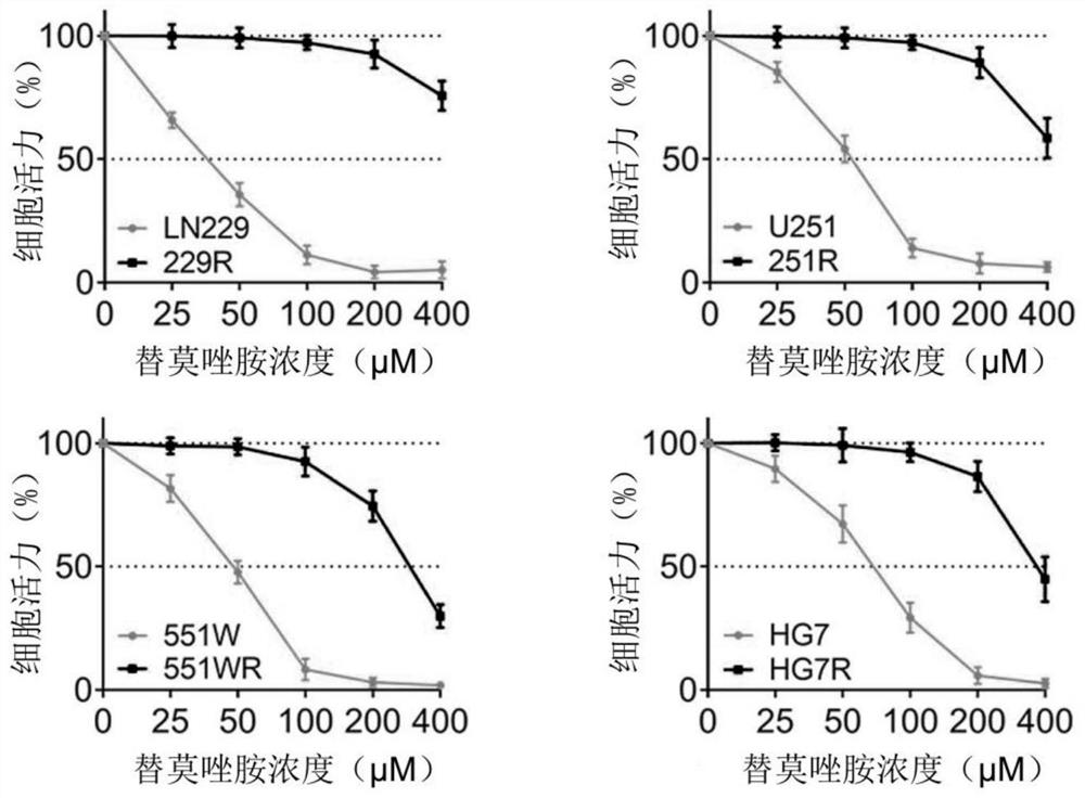 Use of lnc-talc as a molecular marker in evaluating the efficacy and prognosis of glioblastoma TMZ chemotherapy